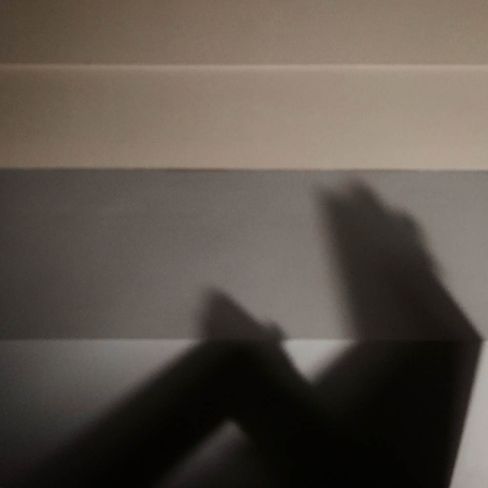 FORM, photograph 5 of 9