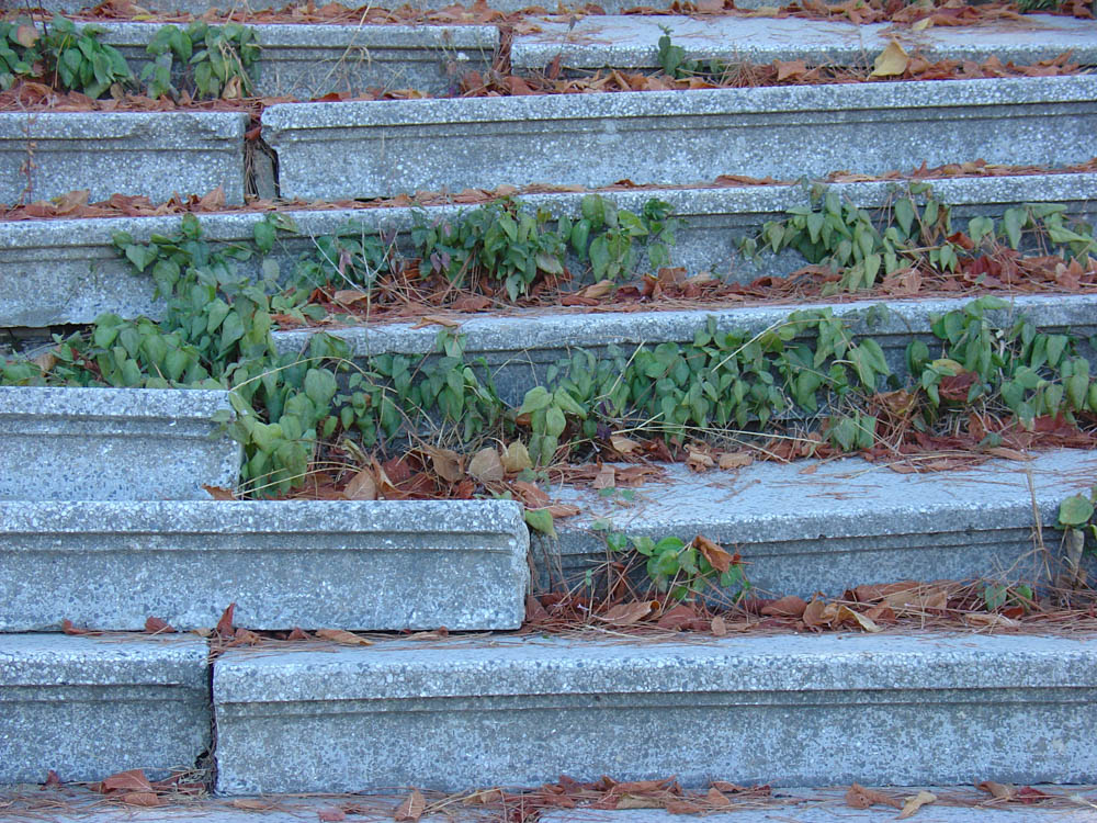 NULL — What outlives its use, photograph 6 of 10, Somewhere