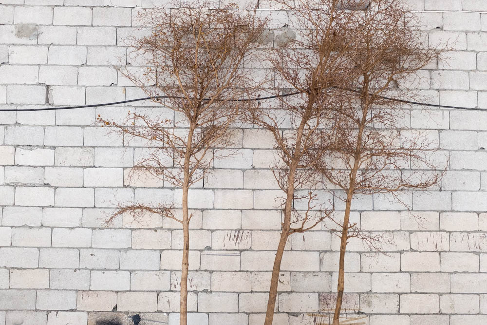 NULL — What outlives its use, photograph 10 of 10, Somewhere